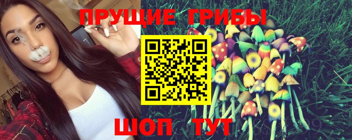 Псилоцибиновые грибы Psilocybine cubensis Белая Калитва