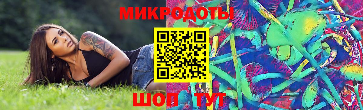 Белая Калитва  Псилоцибиновые грибы мицелий  Вход с VPN  Галлюциногенные грибы Cubensis 